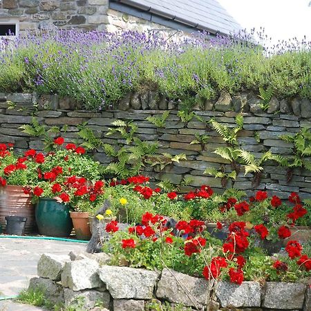 The Elephants Nest Inn Marytavy Exterior photo