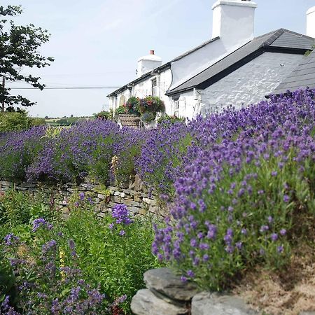 The Elephants Nest Inn Marytavy Exterior photo
