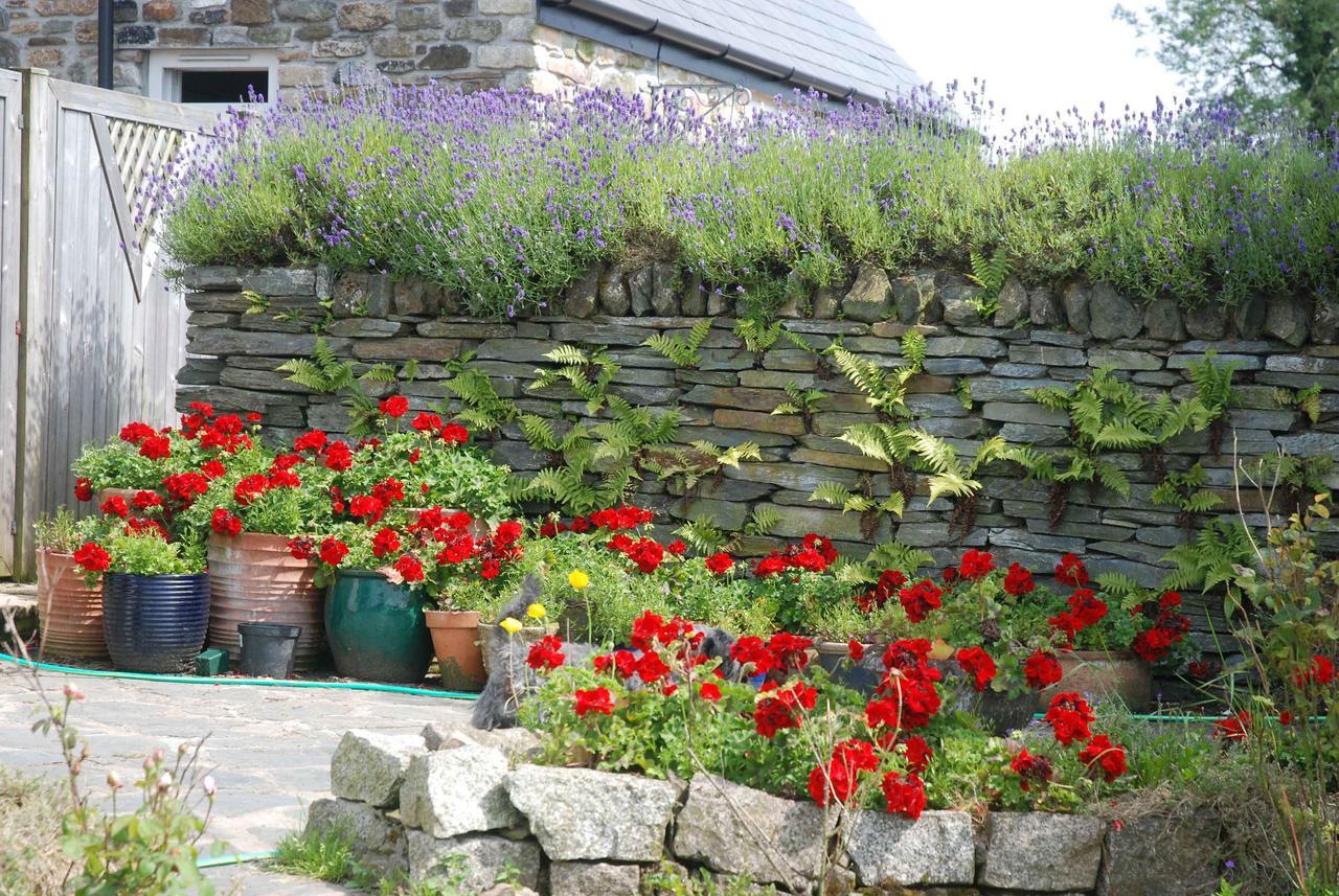 The Elephants Nest Inn Marytavy Exterior photo