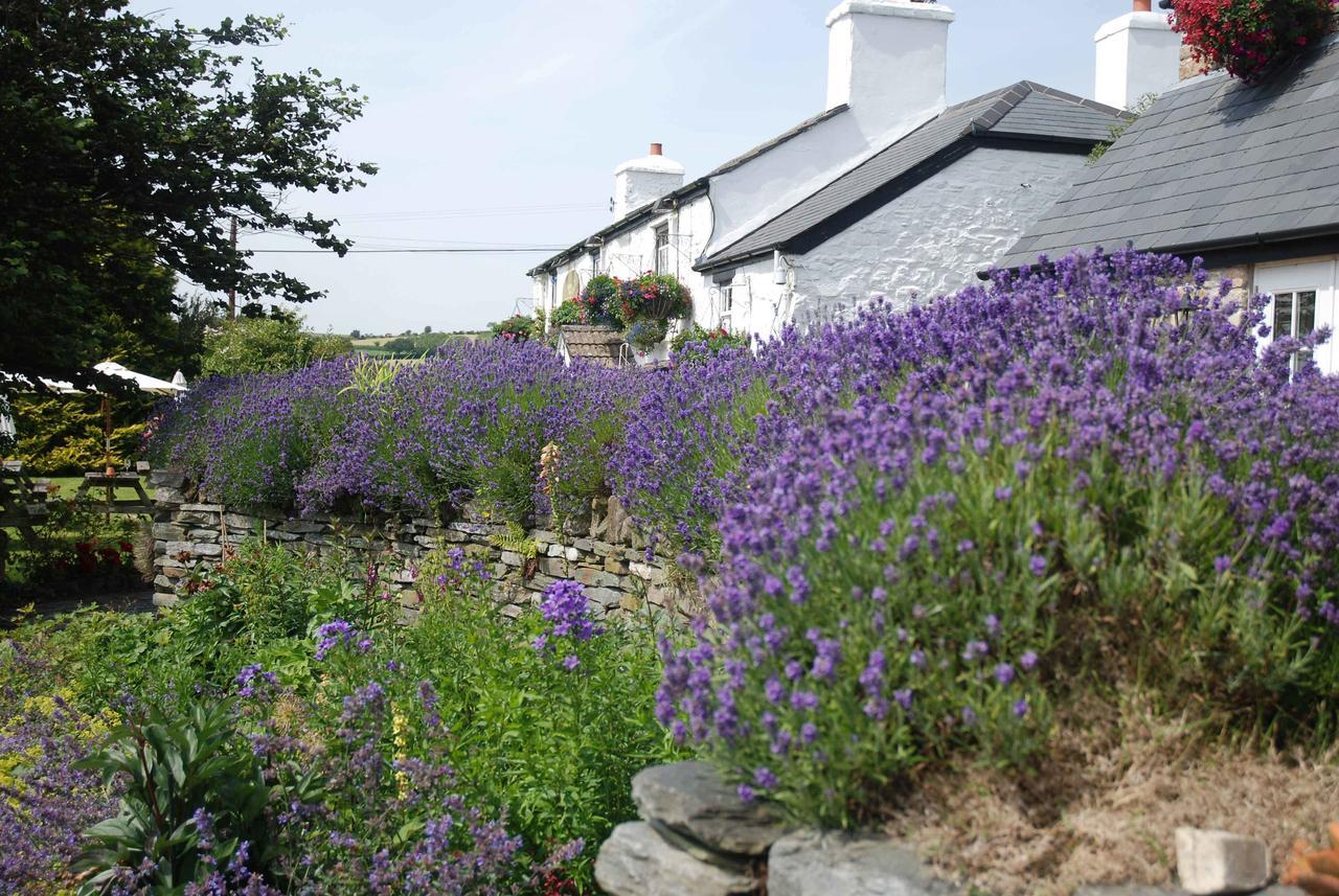 The Elephants Nest Inn Marytavy Exterior photo