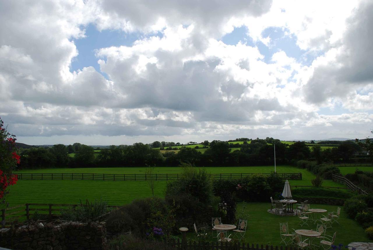 The Elephants Nest Inn Marytavy Room photo